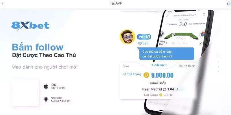 8XBet Web